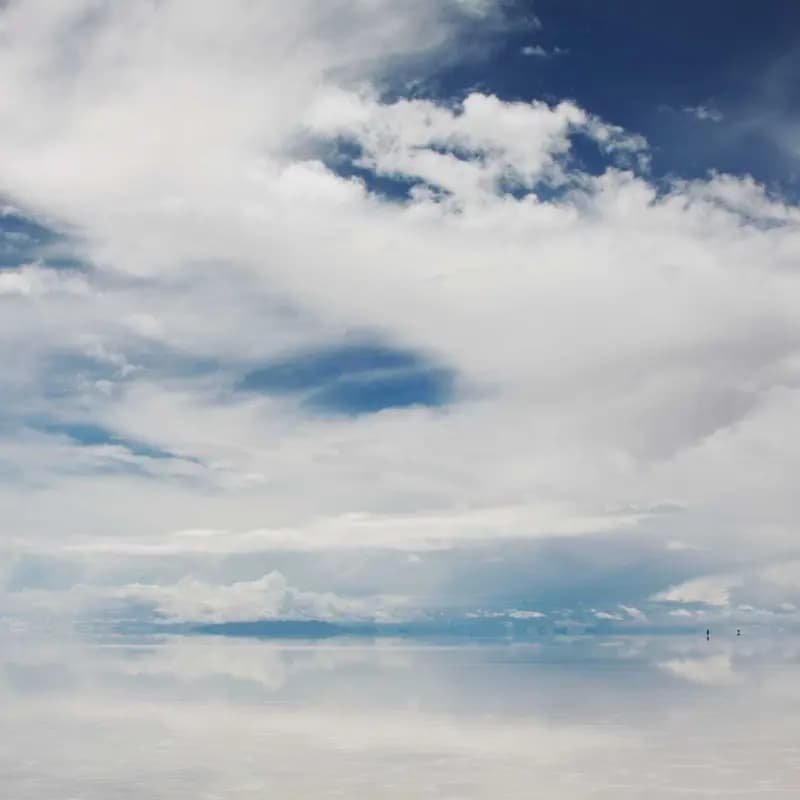 Vermífugo de Amplo Espectro